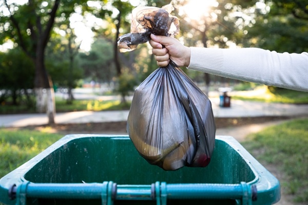 What trash pickup rules should residents in Webster City follow?