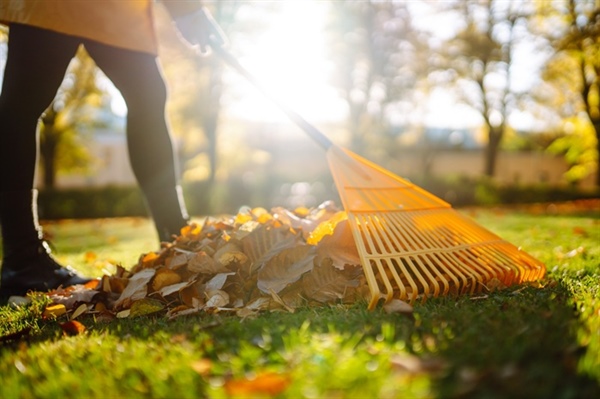 How Can Residents Dispose of Yard Waste Responsibly?
